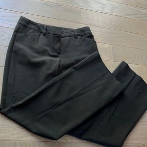 Express Dress Pants